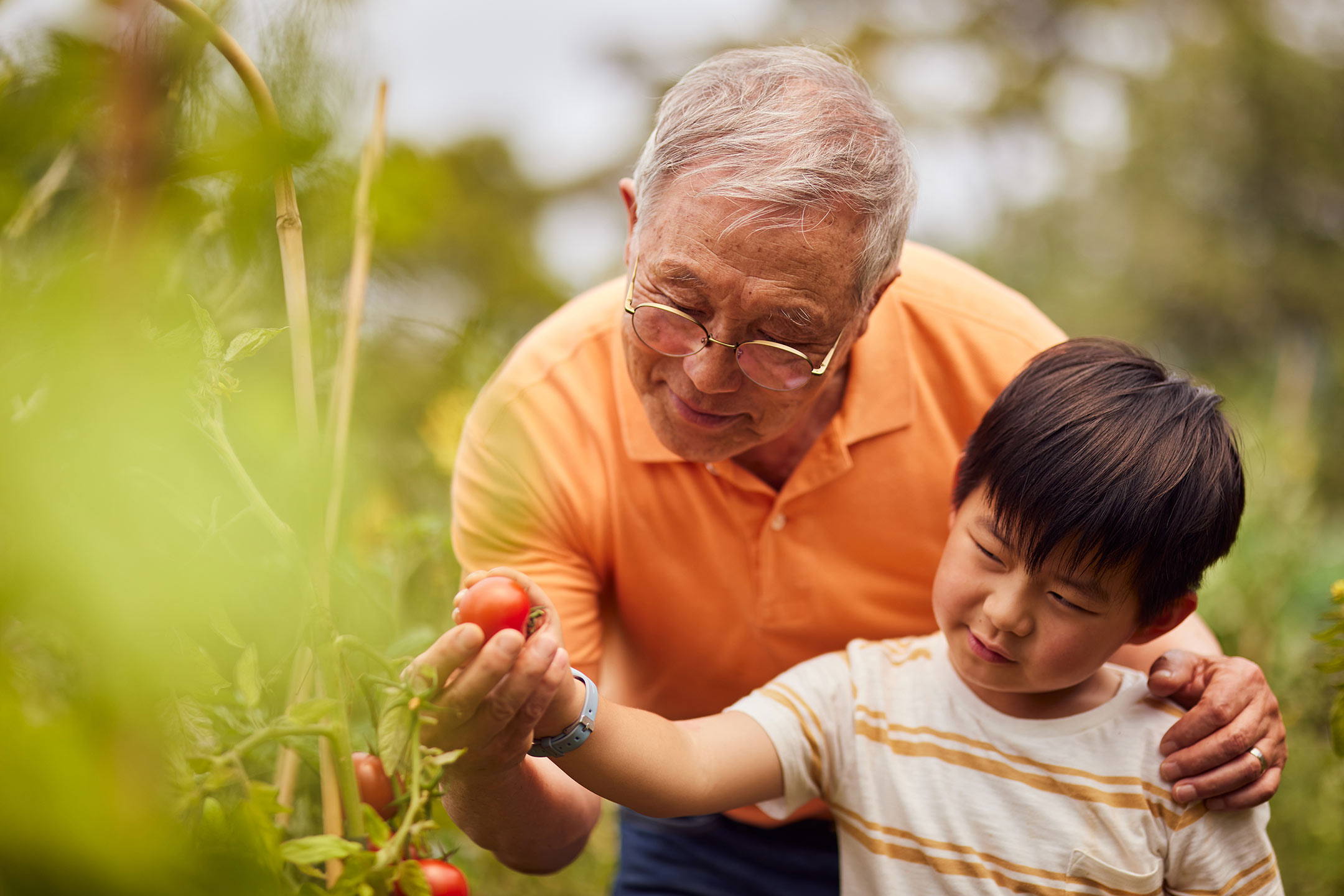 old asian man with child in garden